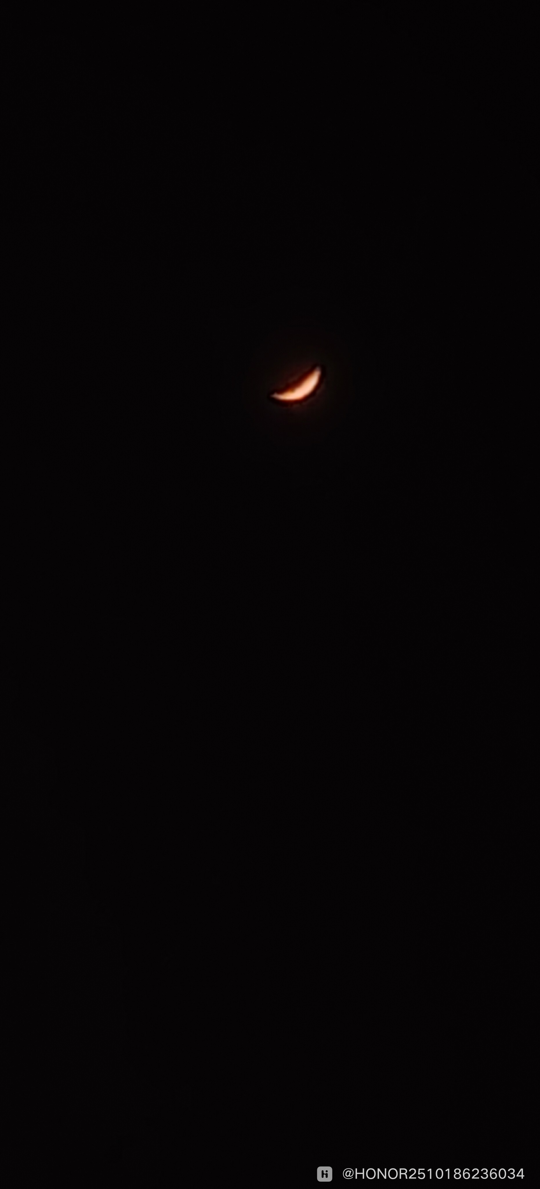 IMG_20260303_202103.jpg