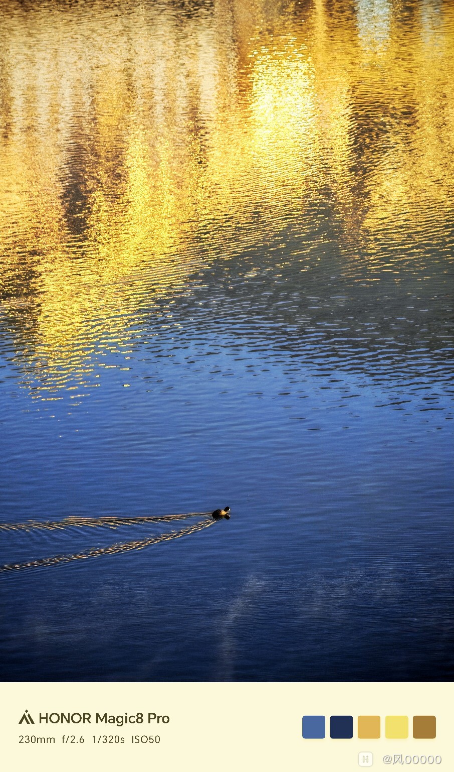 Image_1772073821882_897_edit_611247333246670.jpg