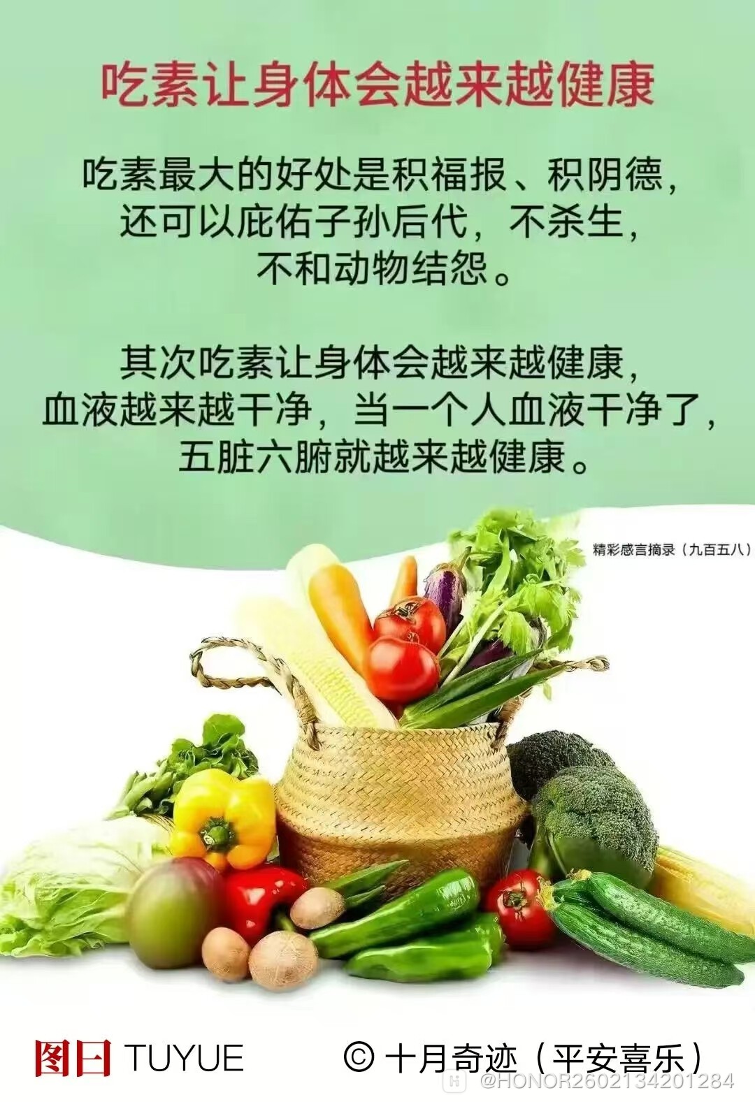 你们经常吃素,血液就是碱性,经常吃荤,-荣耀俱乐部
