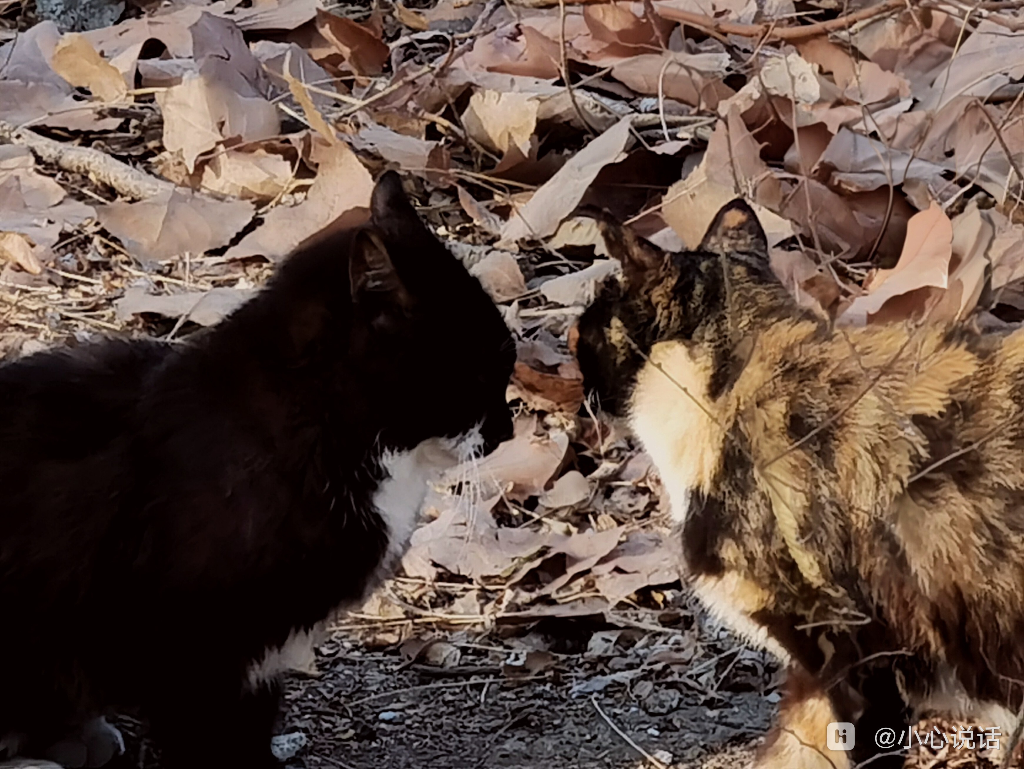 IMG_20260315_165403_edit_218197278607961.jpg