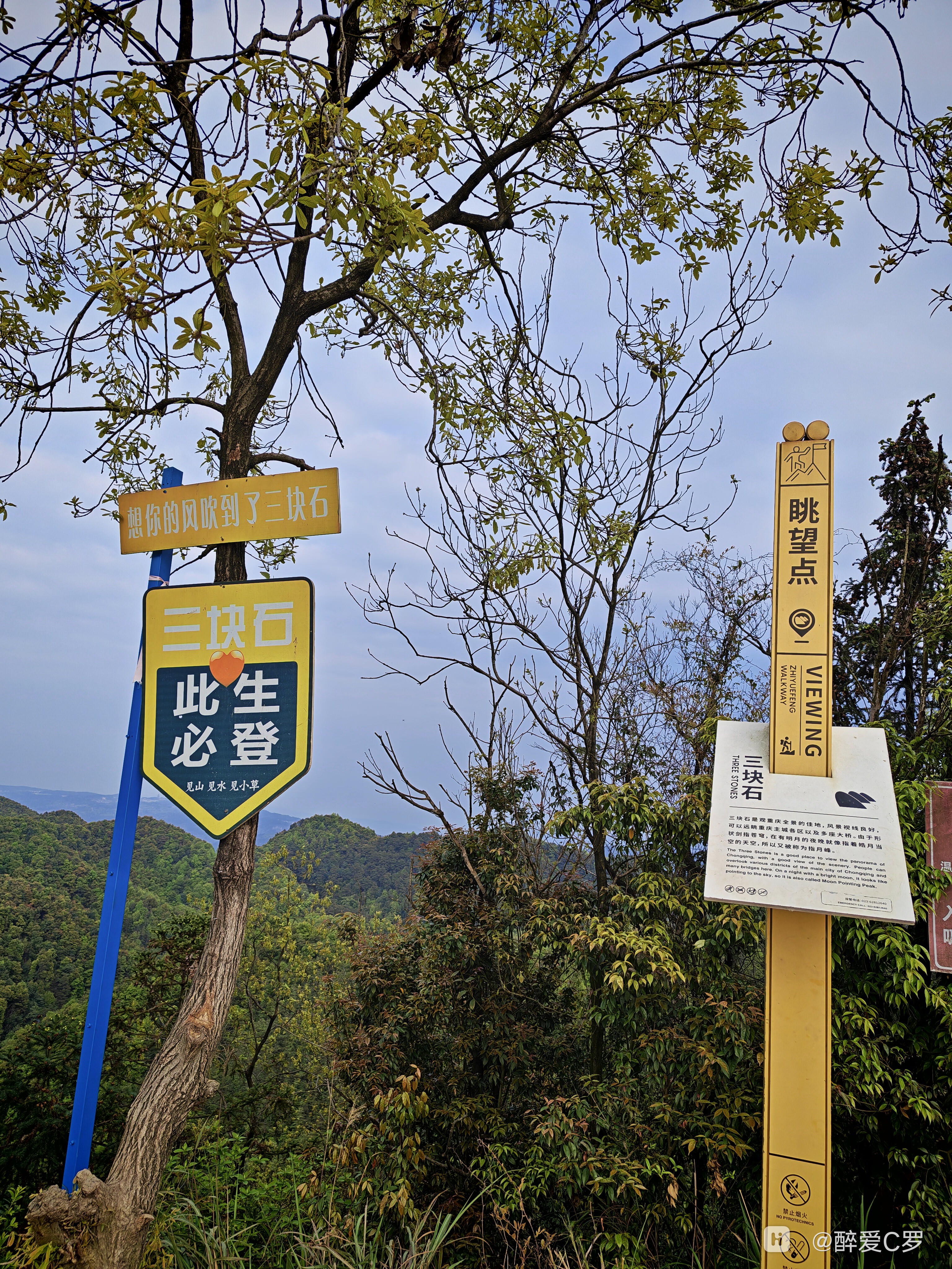 IMG_20260322_170638.jpg