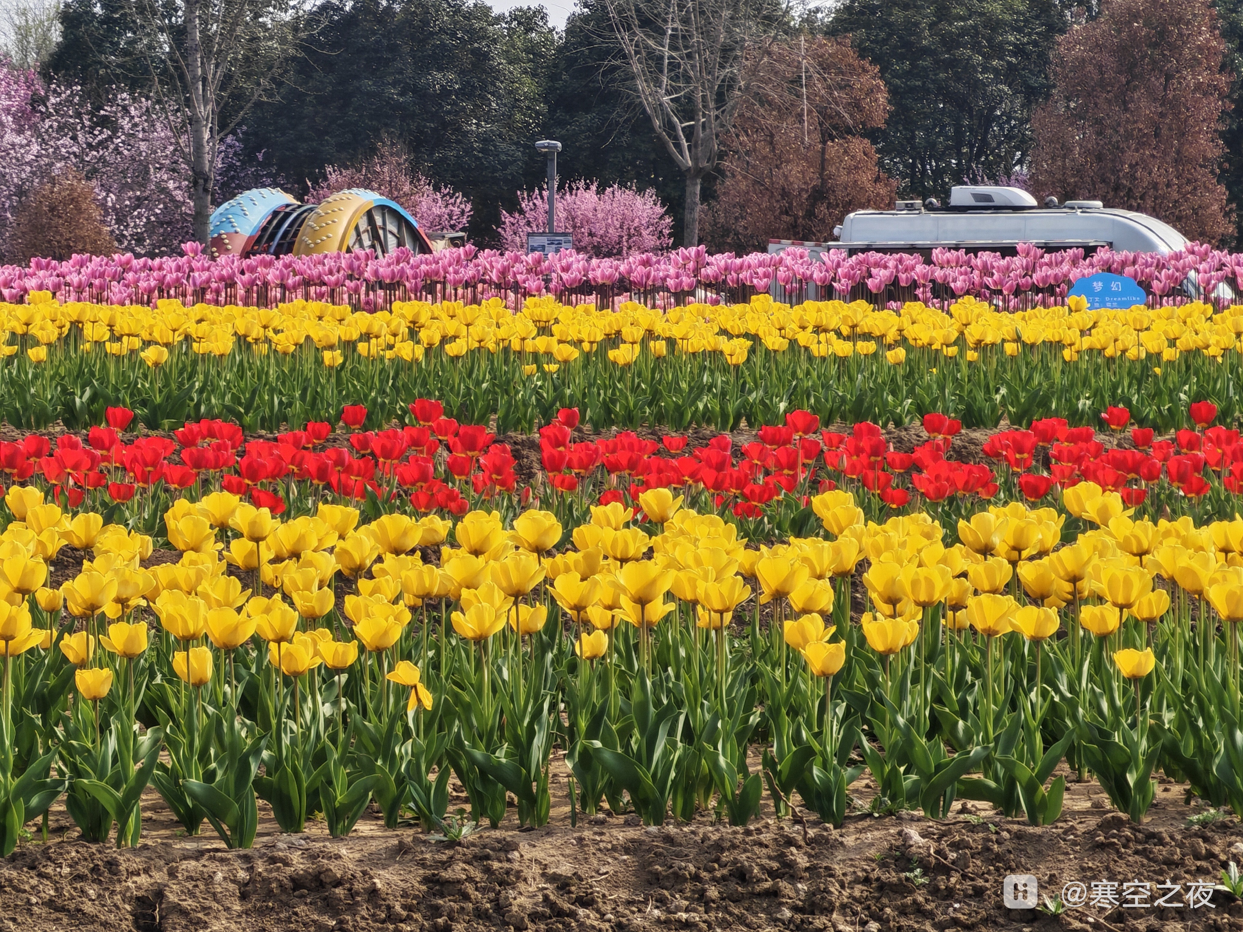 IMG_20260329_145754_ENHANCE001.jpg