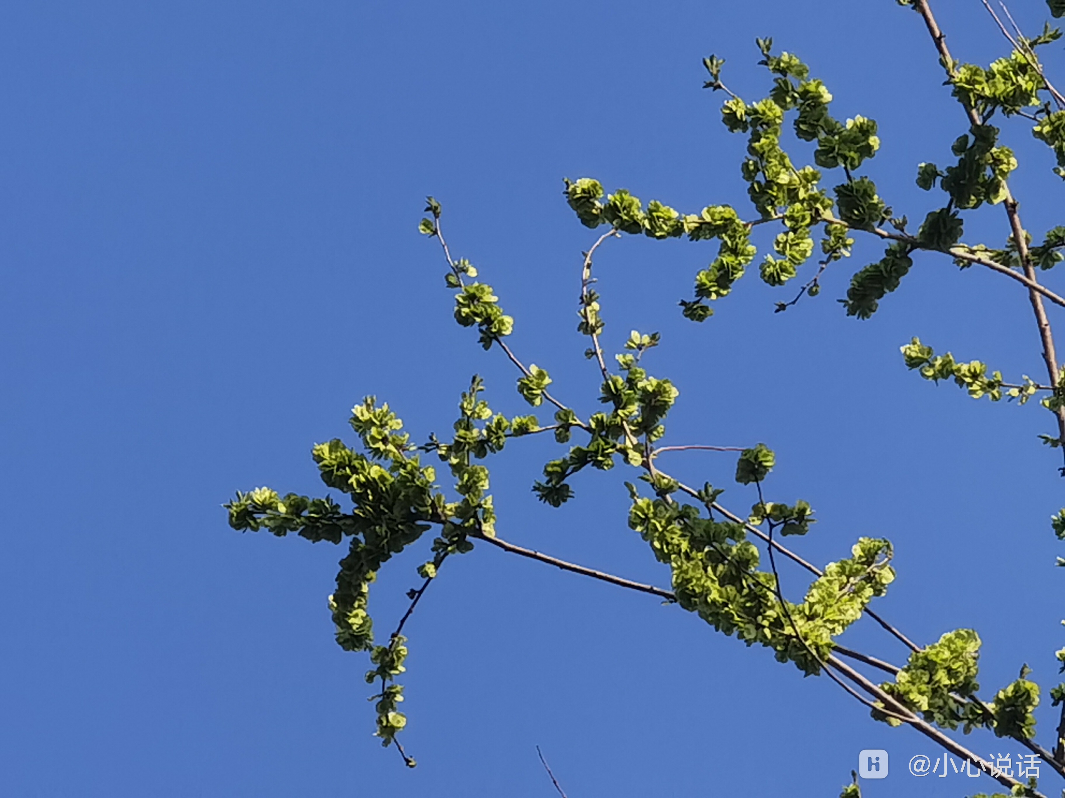 IMG_20260401_161853.jpg