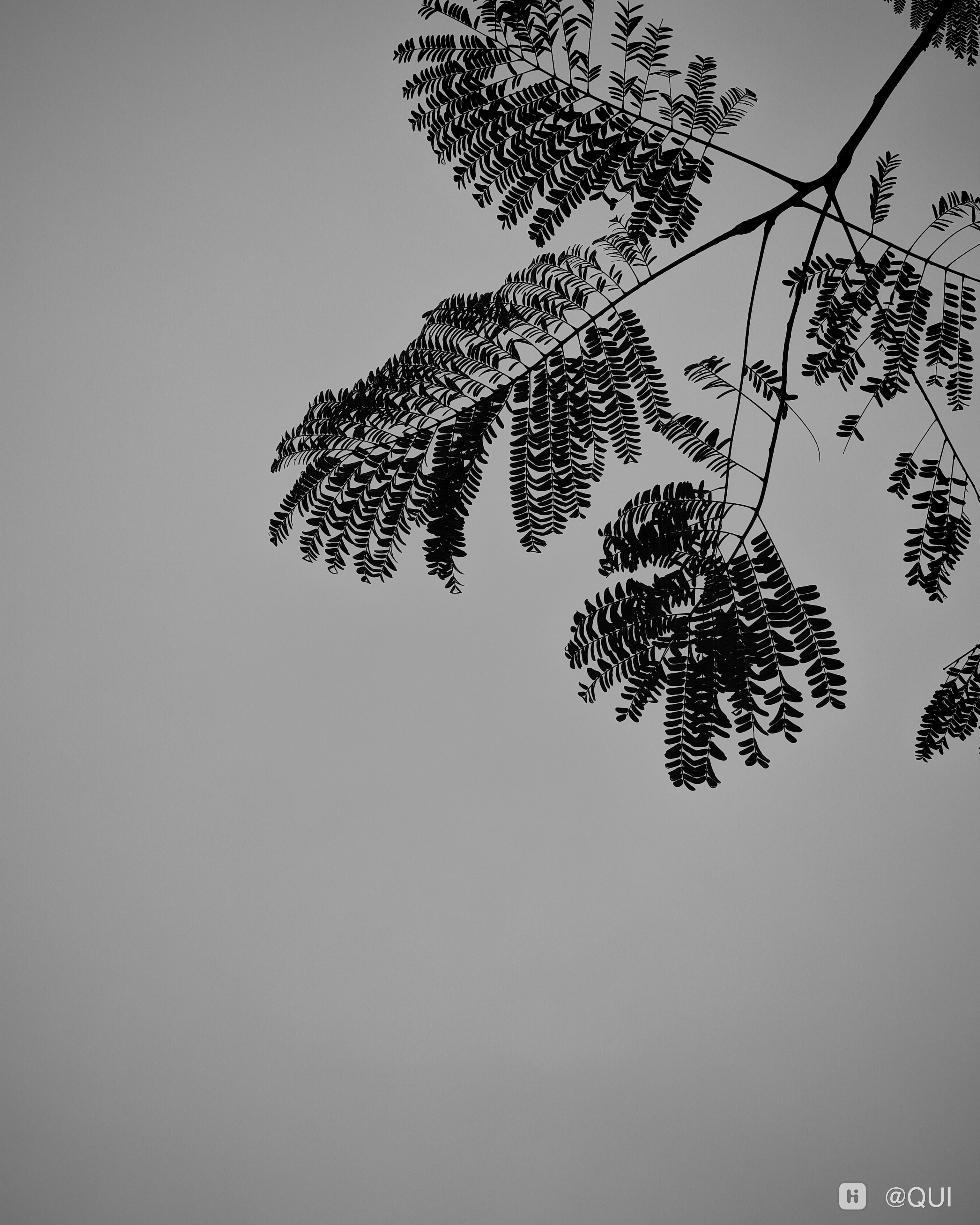 IMG_20260404_132540.jpg