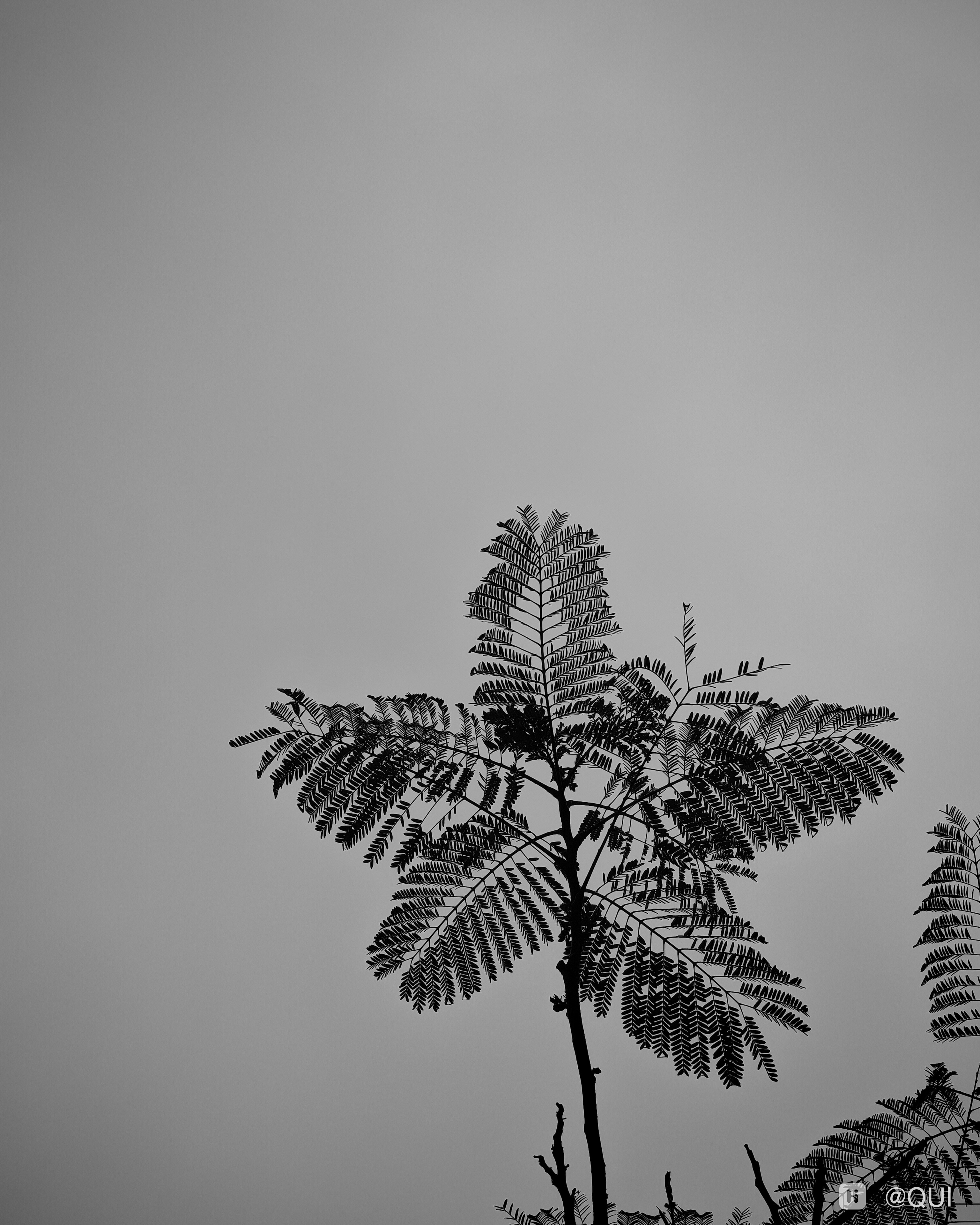 IMG_20260404_132305.jpg