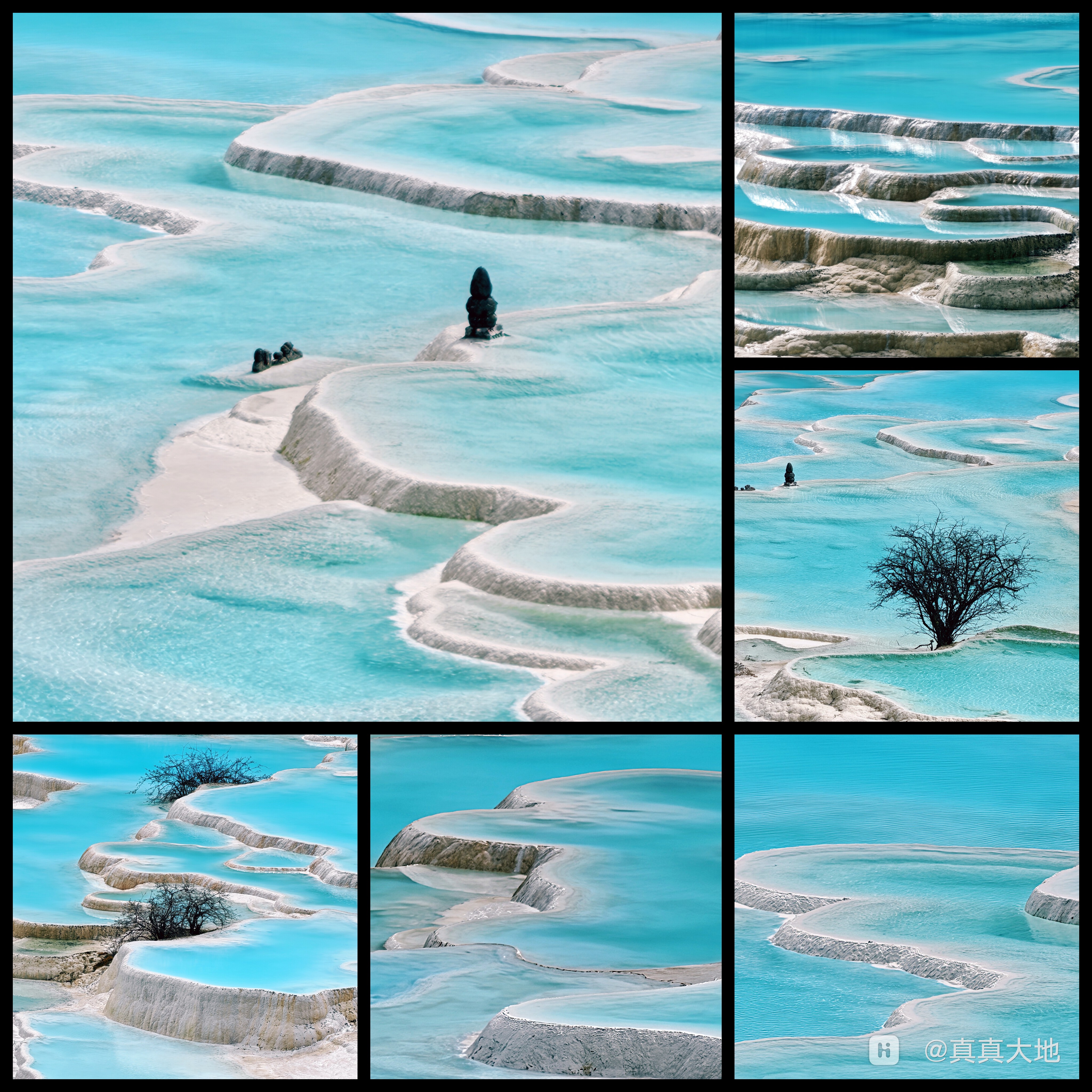 Collage_20260413_095047931.jpg