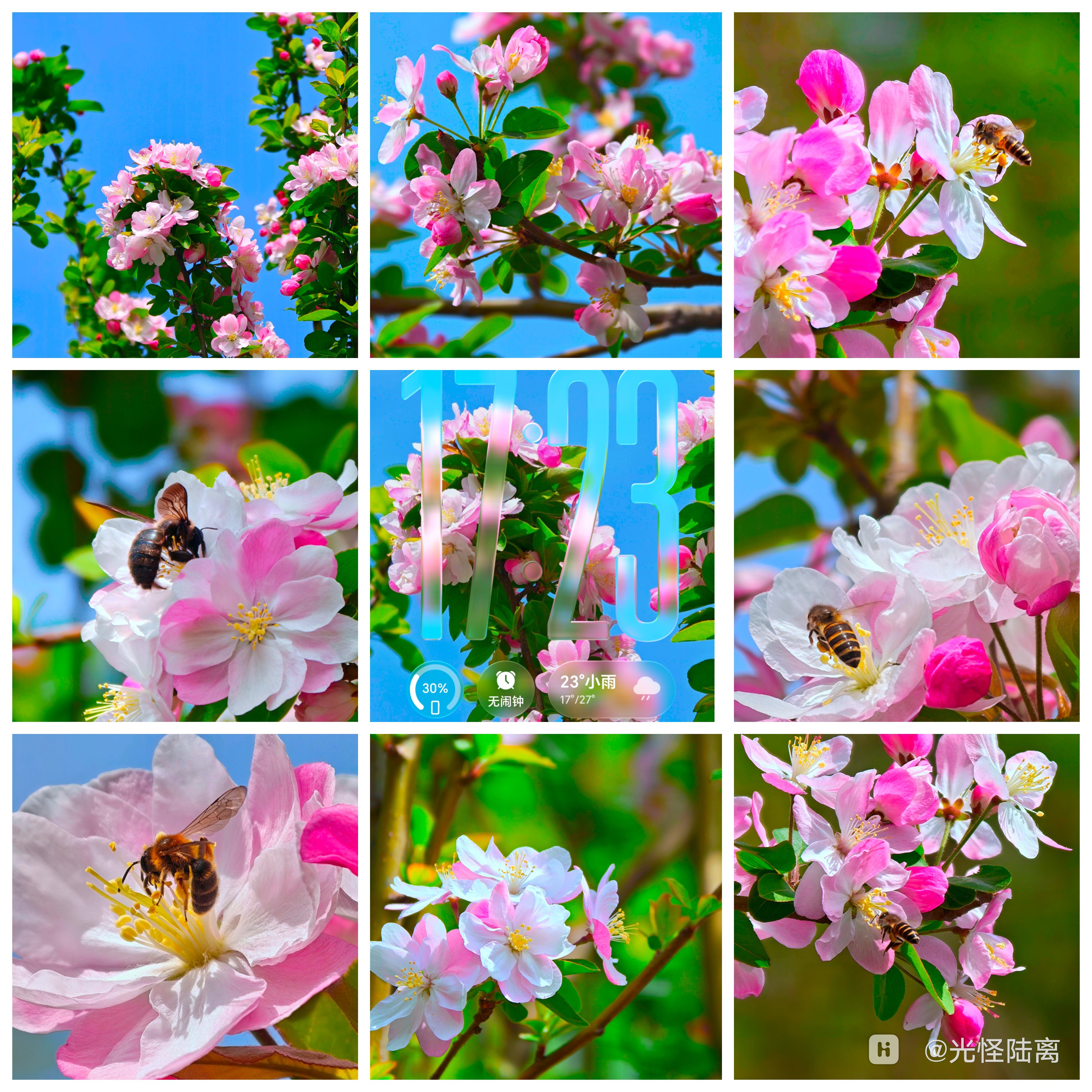 Collage_20260415_172520422.jpg