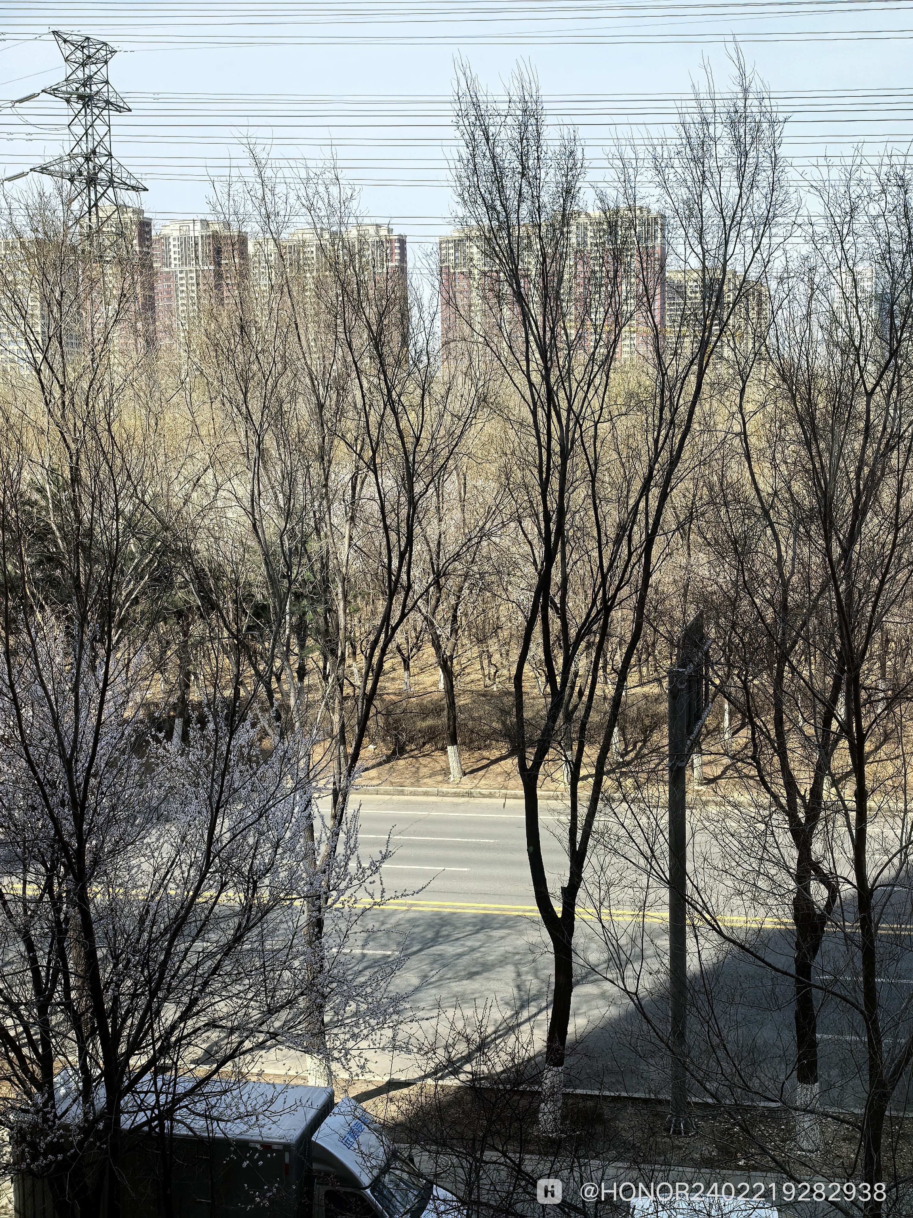 IMG_20260413_114329.jpg