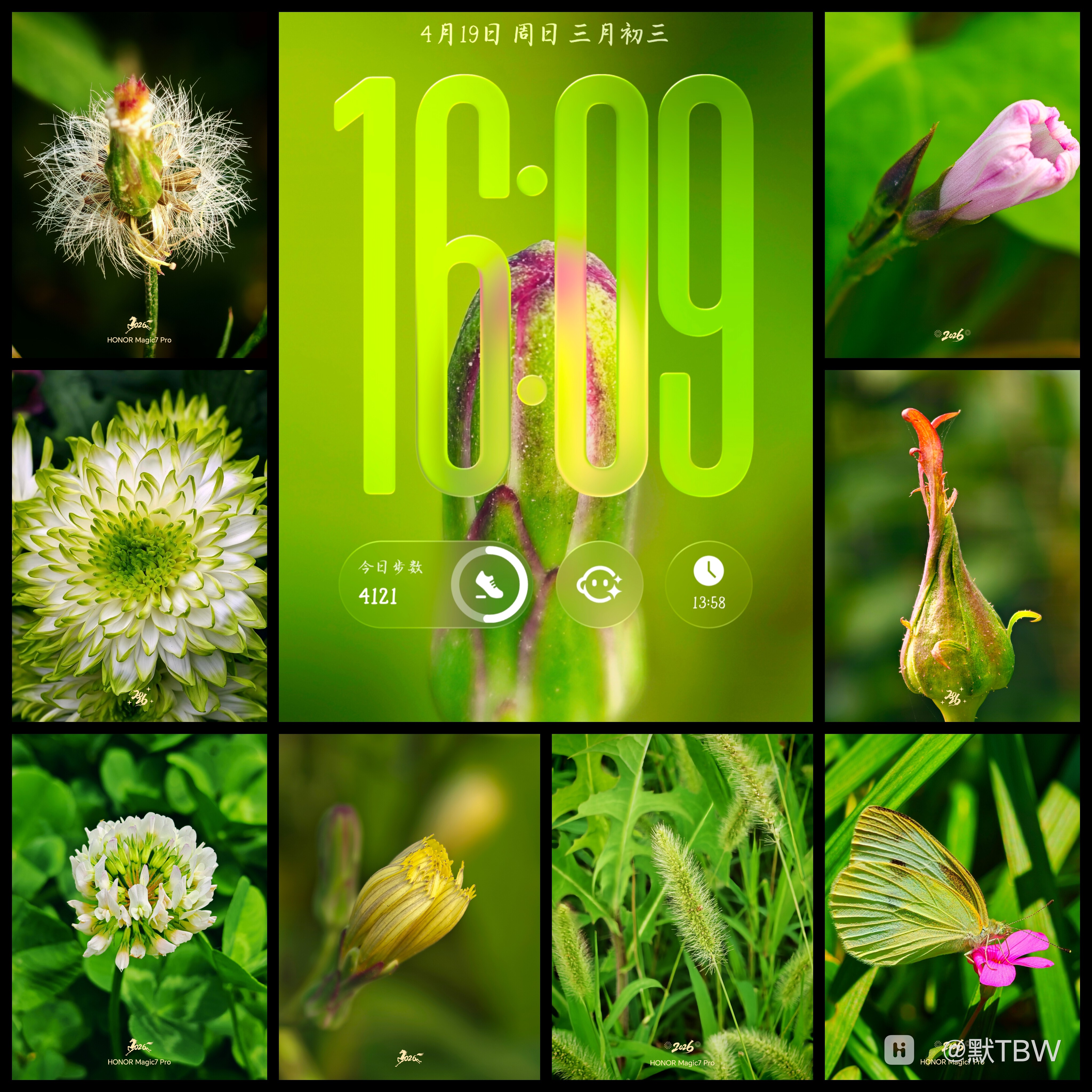 Collage_20260419_161128577.jpg