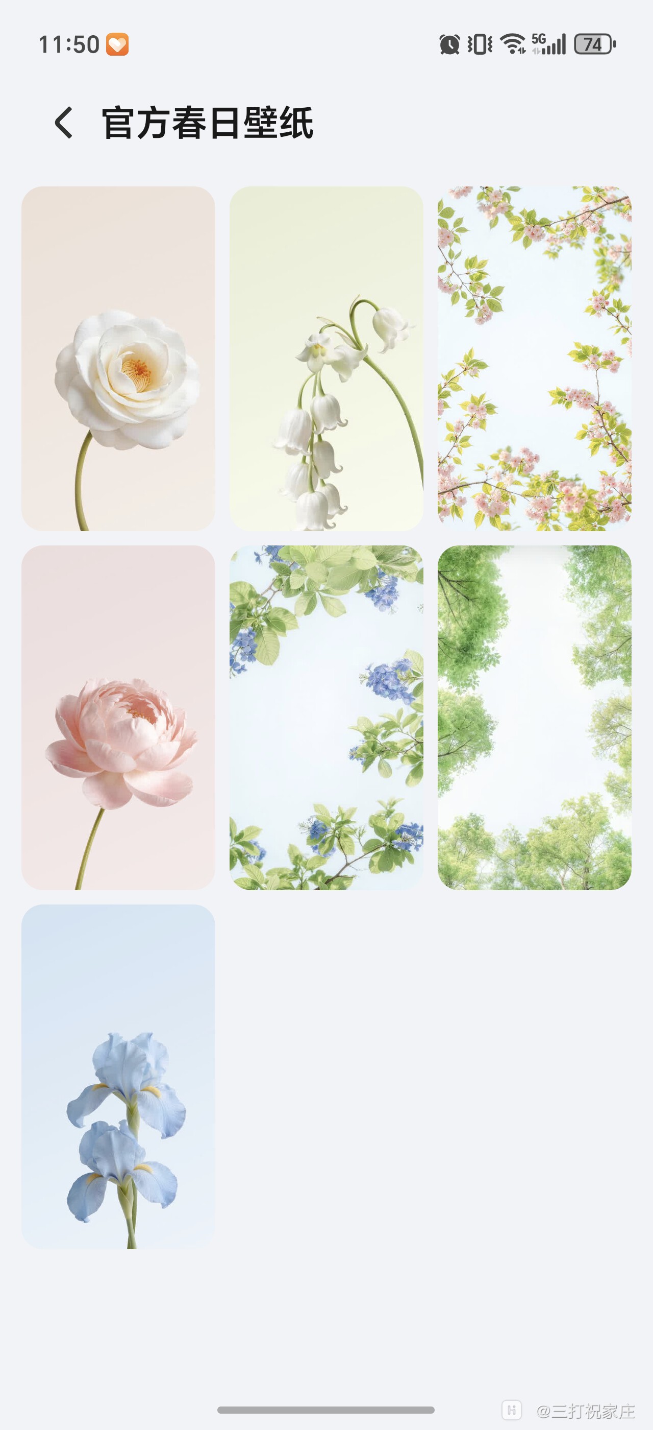 Screenshot_20260514_115046_com_hihonor_android_thememanager_BaseOnlineListActivity.jpg