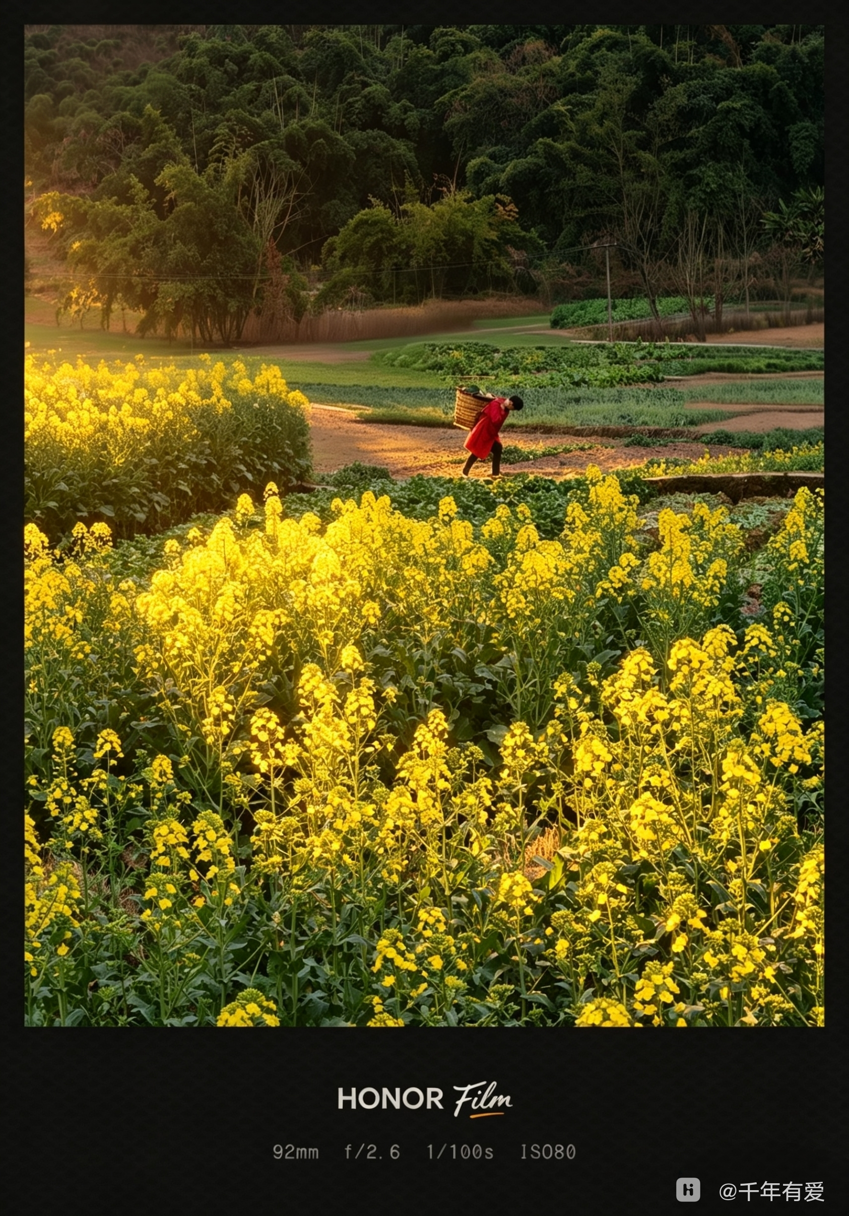 null_edit_3461265148626.png