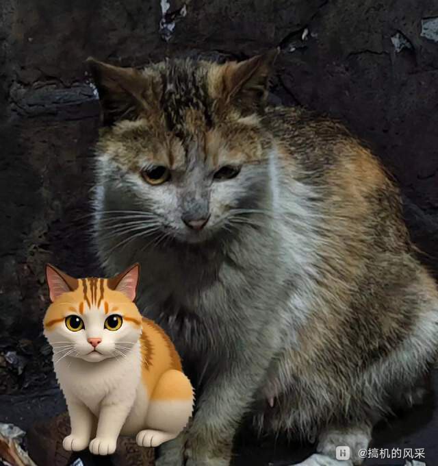 f8bcef851b3942bc84b023921476a525~tplv-tt-shrink:640:0.image?lk3s=06827d14&tracei.jpeg