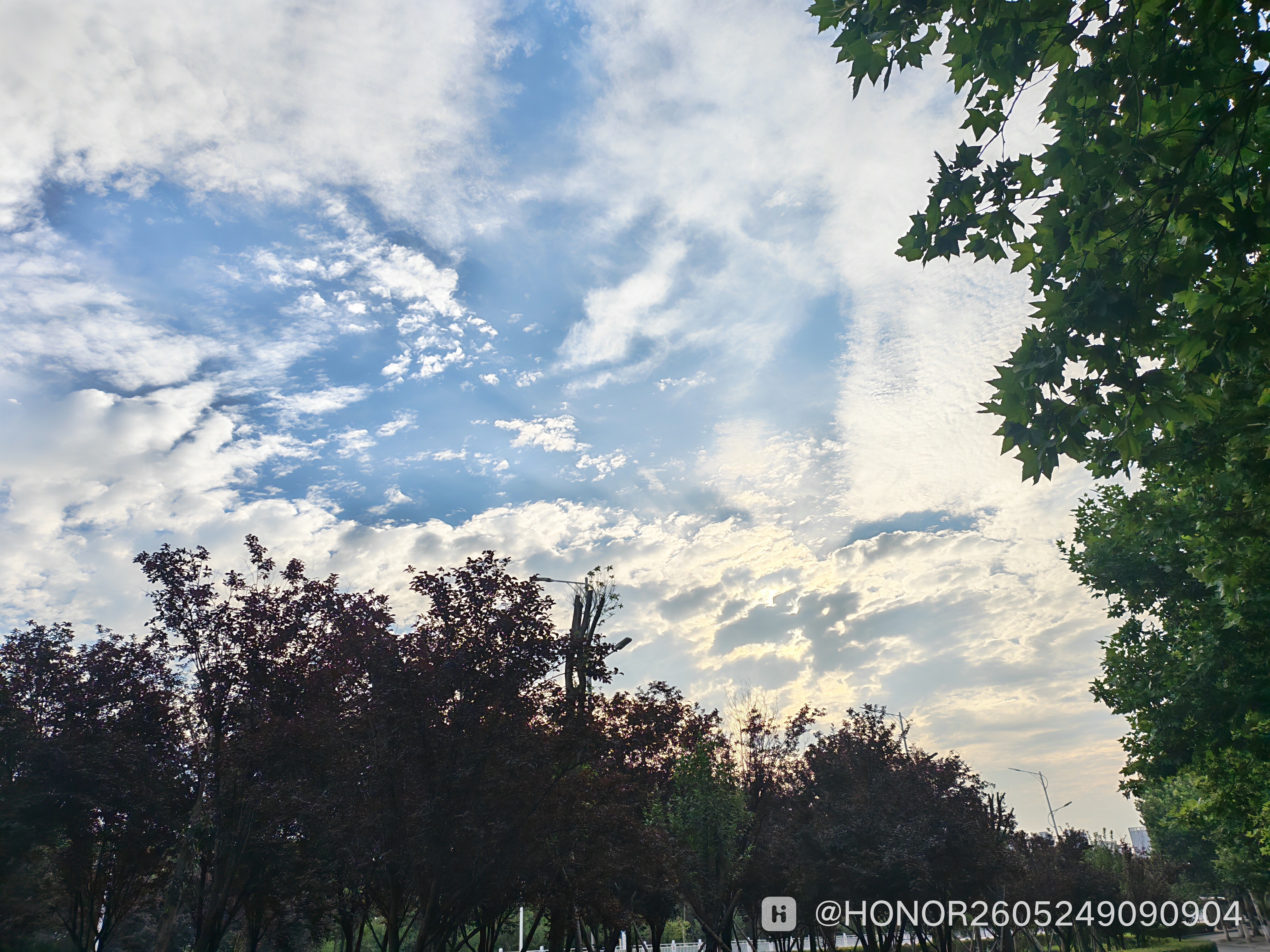 IMG_20260702_065244.jpg