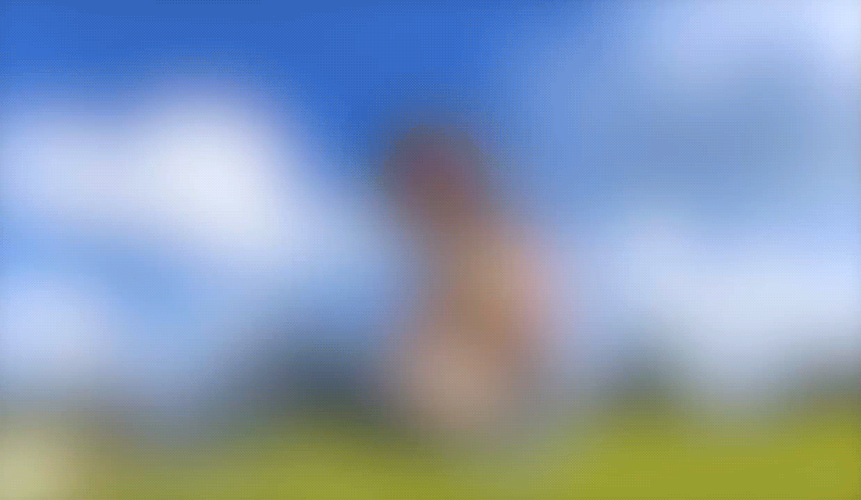 3D照片.gif