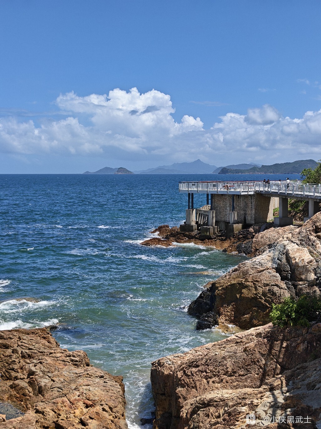 IMG_20260702_135226.jpg