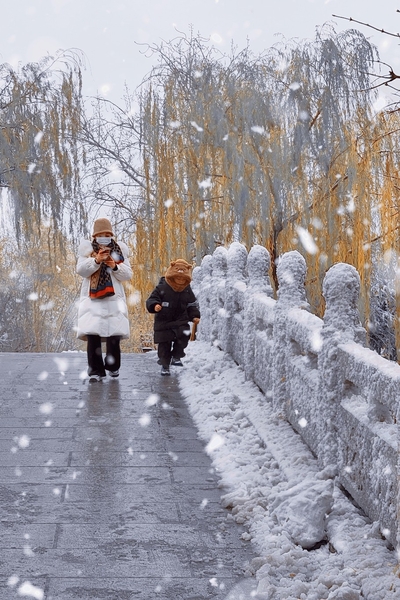 下雪了,爱摄影-荣耀俱乐部