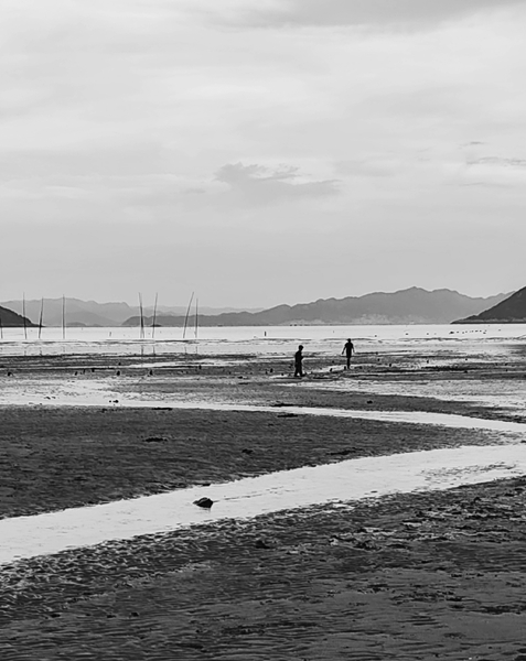 滩涂.赶海。,爱摄影-荣耀俱乐部