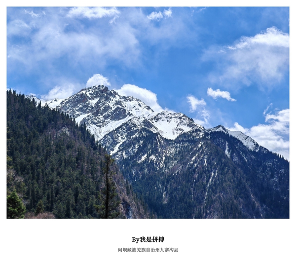 九寨沟的蓝，是治愈心灵的底色,爱摄影-荣耀俱乐部