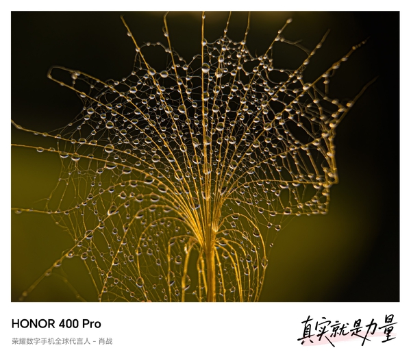 【荣耀400 Pro】晶光流转,爱摄影-荣耀俱乐部