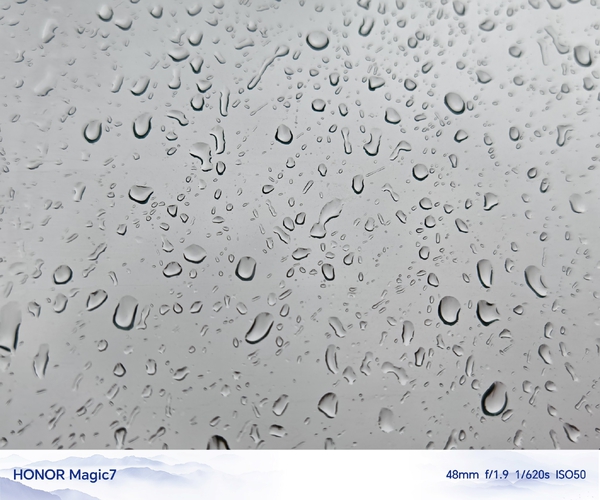 雨滴,爱摄影-荣耀俱乐部