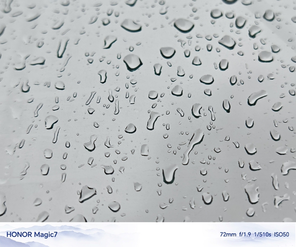 雨滴,爱摄影-荣耀俱乐部
