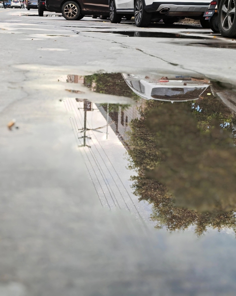 雨后的一点一滴,爱摄影-荣耀俱乐部