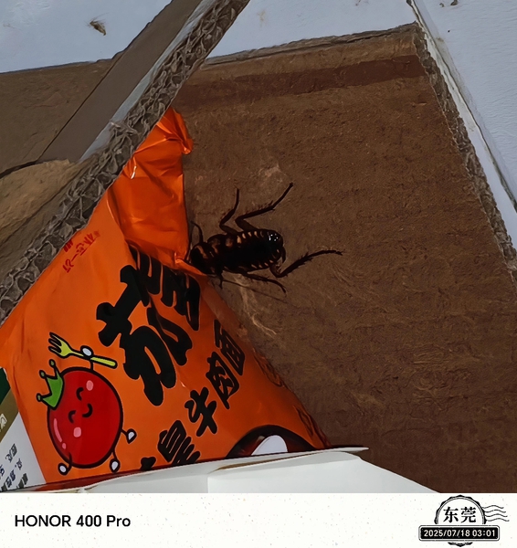 贪吃鬼滚啊,荣耀400系列-荣耀俱乐部