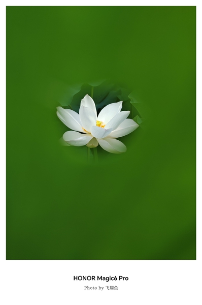【荣耀Magic6Pro更新MagicOS9.0.0.182版本后拍照体验：更清晰、更艺术】,荣耀Magic6系列-荣耀俱乐部