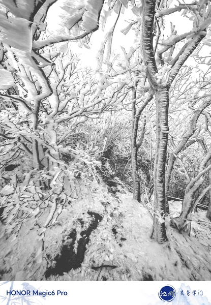 冰天雪地,爱摄影-荣耀俱乐部