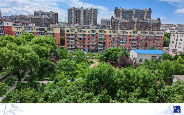 绿化还是很好,荣耀Magic7系列-荣耀俱乐部