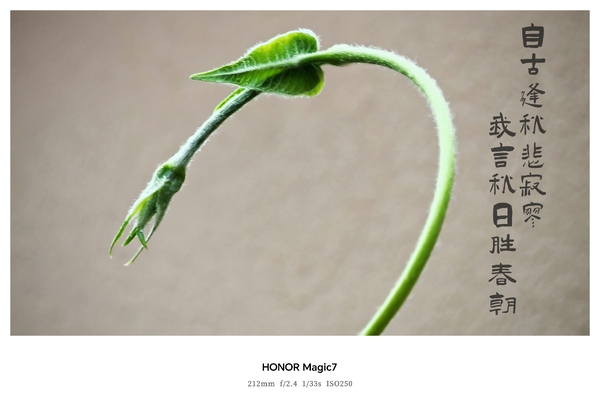 【用影像记录节气】立秋,爱摄影-荣耀俱乐部
