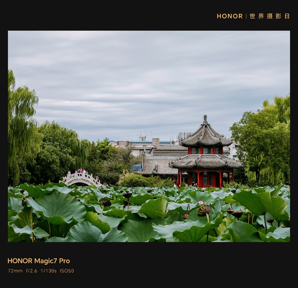 古莲花池经典机位,爱摄影-荣耀俱乐部