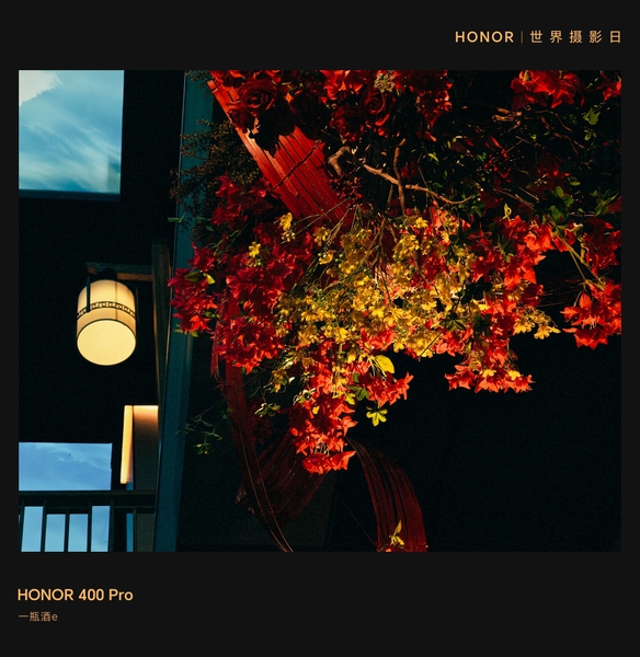 光影花叙，定格夜色里的热烈与温柔,爱摄影-荣耀俱乐部