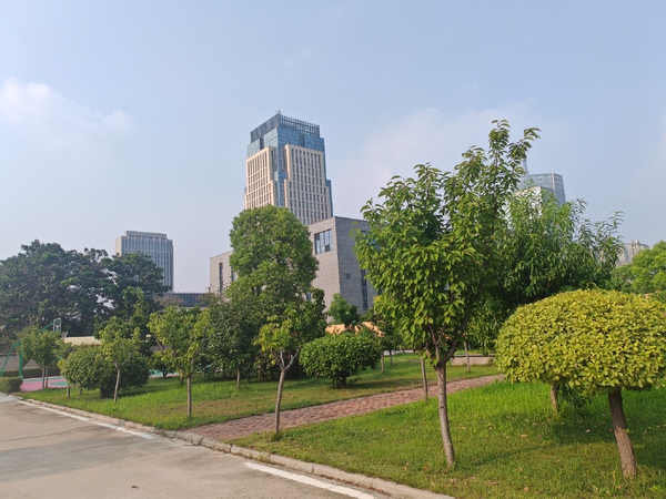 夏末美景,荣耀X50系列-荣耀俱乐部