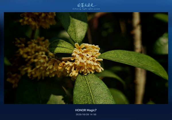 生活就是花花草草的事儿[笑][笑],爱摄影-荣耀俱乐部