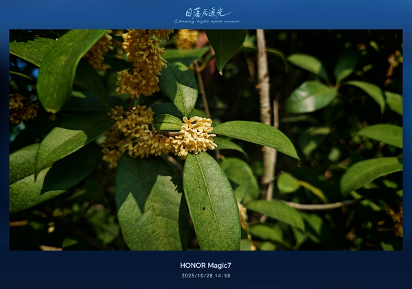 生活就是花花草草的事儿[笑][笑],爱摄影-荣耀俱乐部