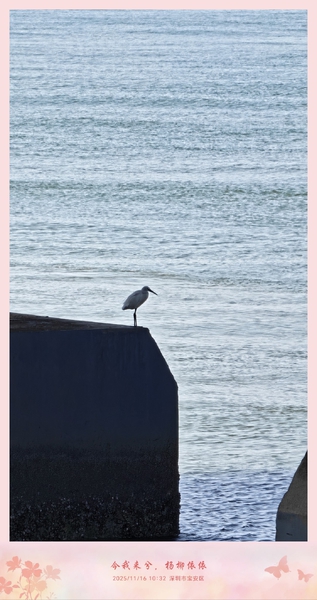 翘望深蓝,爱摄影-荣耀俱乐部