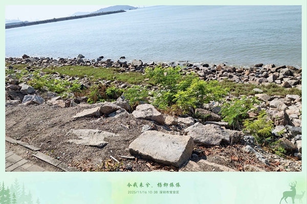 海滨绿带,爱摄影-荣耀俱乐部