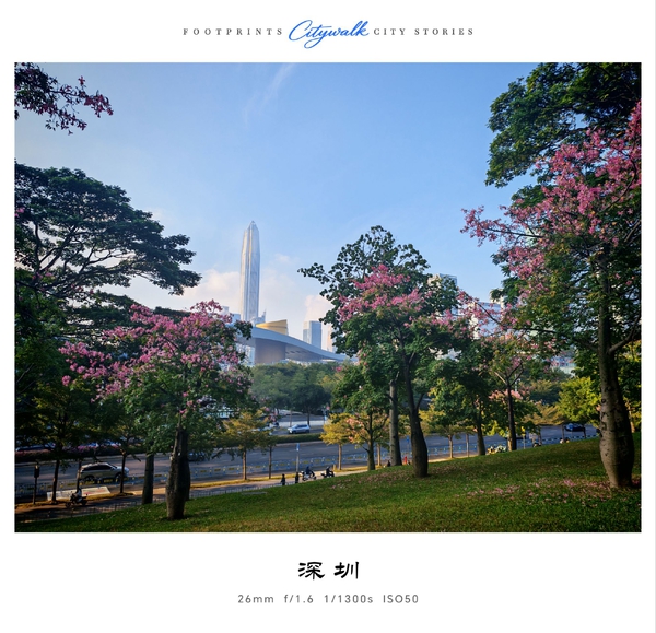 深圳第一高楼（平安金融中心）的压迫感满满！,爱摄影-荣耀俱乐部