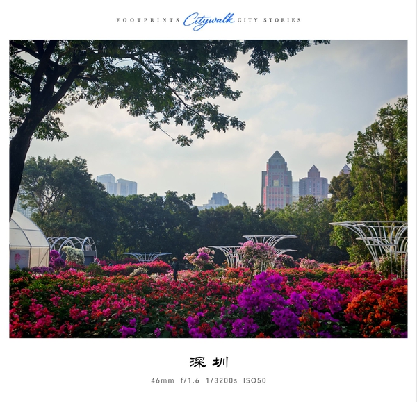 深圳第一高楼（平安金融中心）的压迫感满满！,爱摄影-荣耀俱乐部