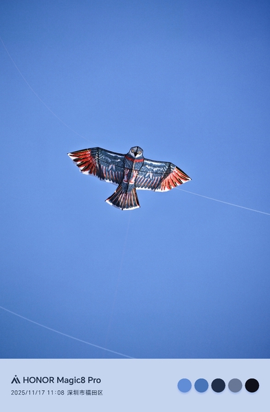 蓝天下的小女孩与她的小精灵,爱摄影-荣耀俱乐部