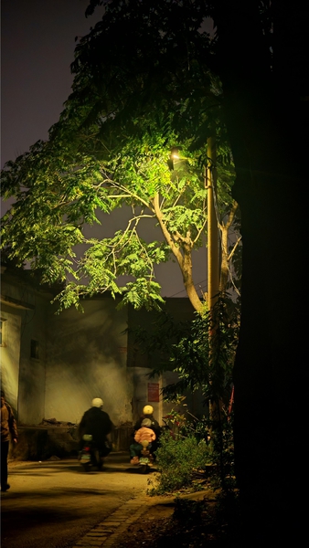 用荣耀记录生活中的氛围感,爱摄影-荣耀俱乐部