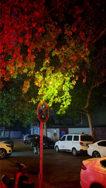 用荣耀记录生活中的氛围感,爱摄影-荣耀俱乐部