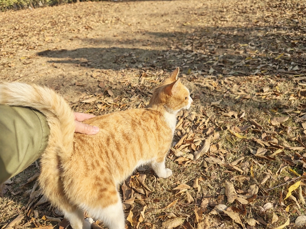 俱乐部啥时候能发实况Live动图呀[调皮][调皮],爱摄影-荣耀俱乐部