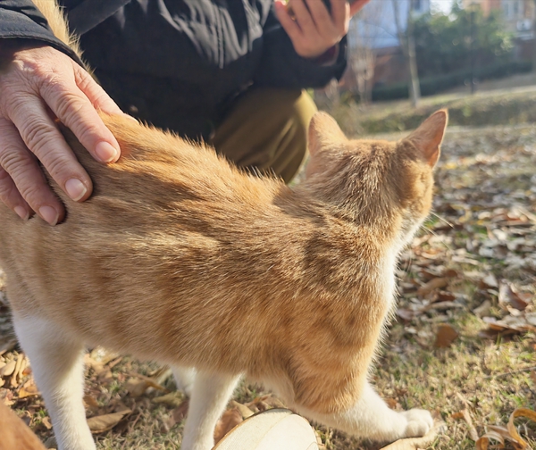 俱乐部啥时候能发实况Live动图呀[调皮][调皮],爱摄影-荣耀俱乐部