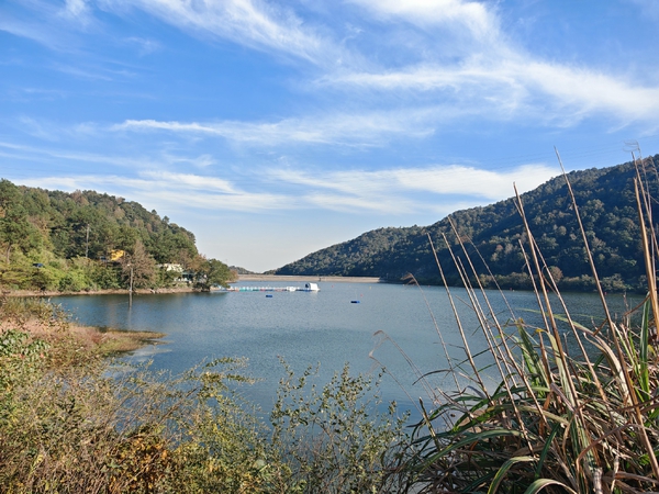 随拍生活之十二月④,爱摄影-荣耀俱乐部