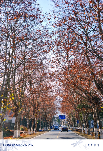 在路上观风景,爱摄影-荣耀俱乐部