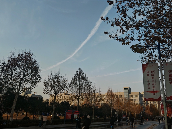 真心不错,荣耀Magic7系列-荣耀俱乐部