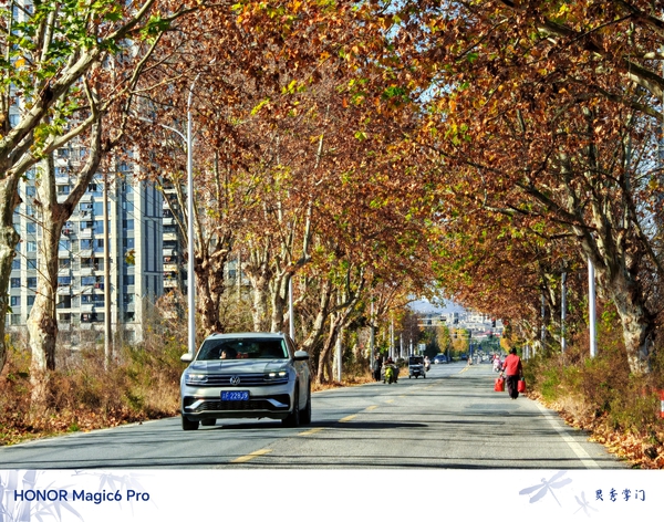 元旦快乐！新年顺丰！,爱摄影-荣耀俱乐部