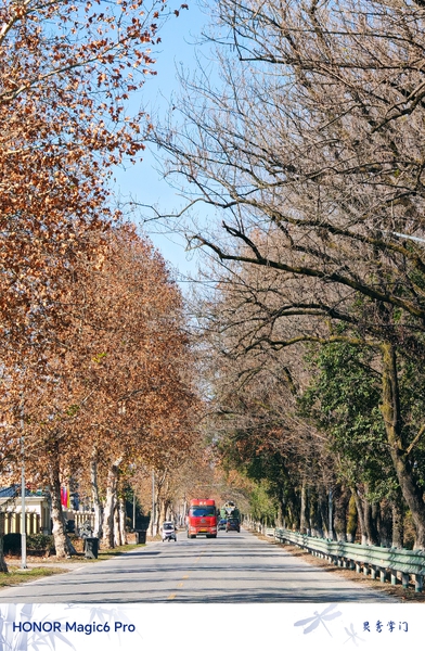 元旦快乐！新年顺丰！,爱摄影-荣耀俱乐部
